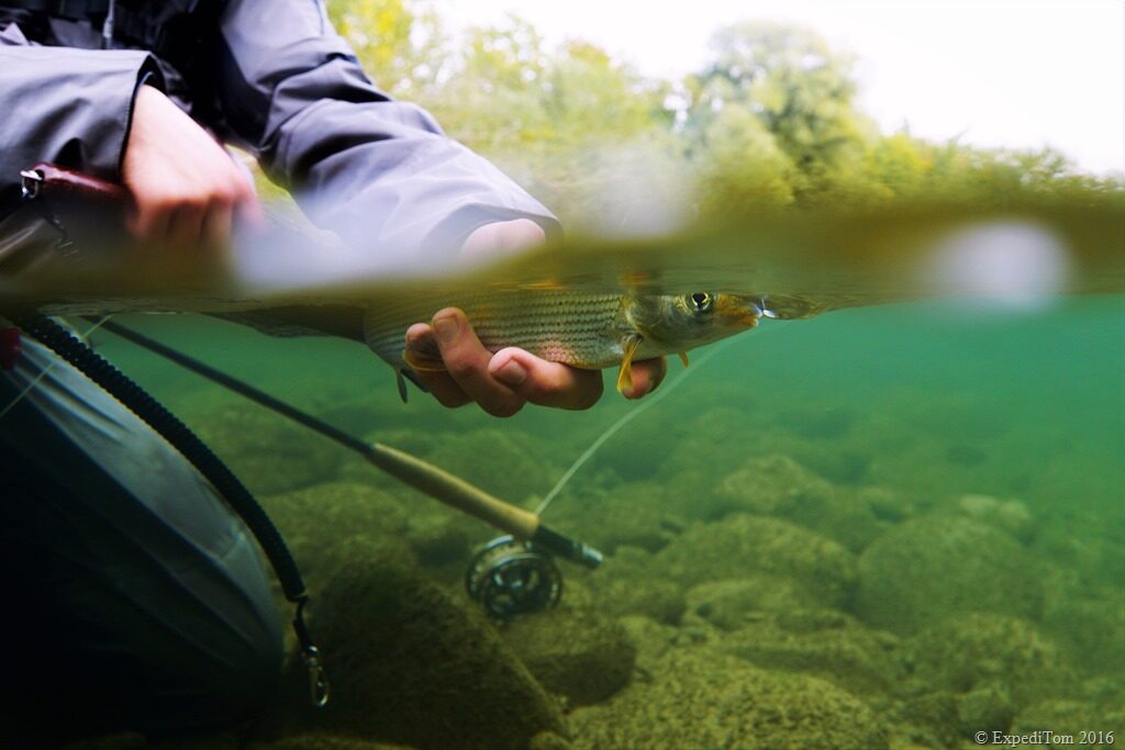 Fly Fishing in Switzerland for grayling under water split shot