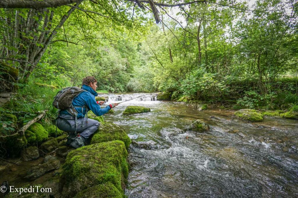 Attie during the fly fishing guiding in Switzerland in a small creek