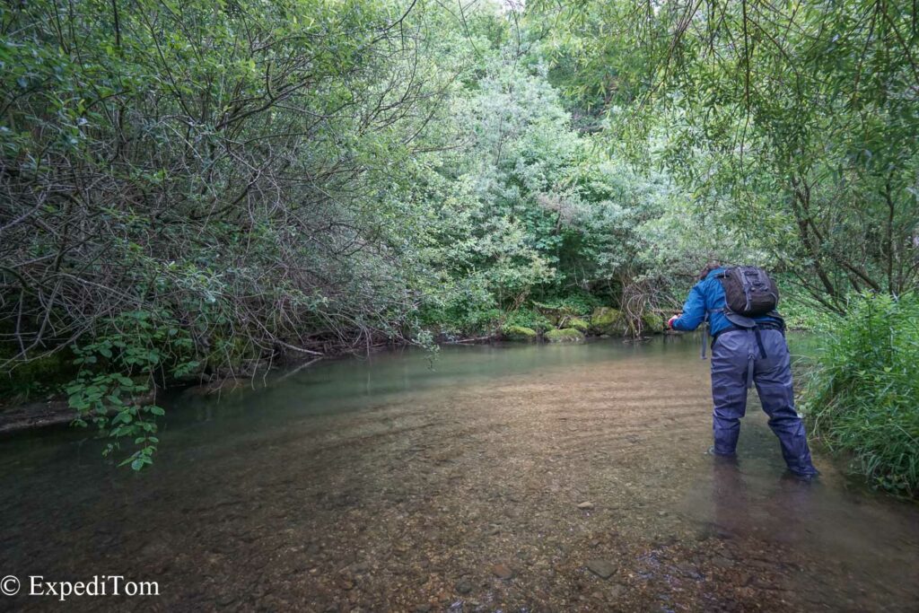 Attie during the fly fishing guiding in Switzerland in a small creek