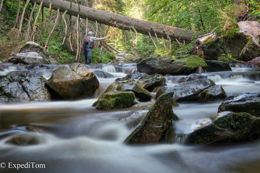 Found solitude in the Black Forest in Germany
