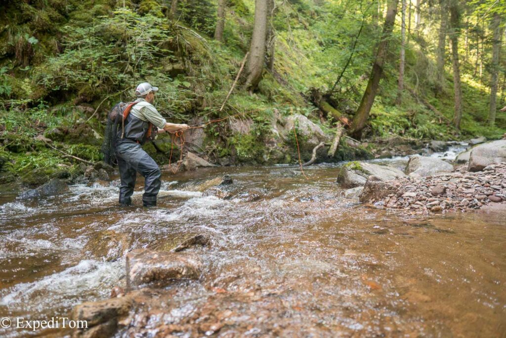 Black Forest Creek in Germany