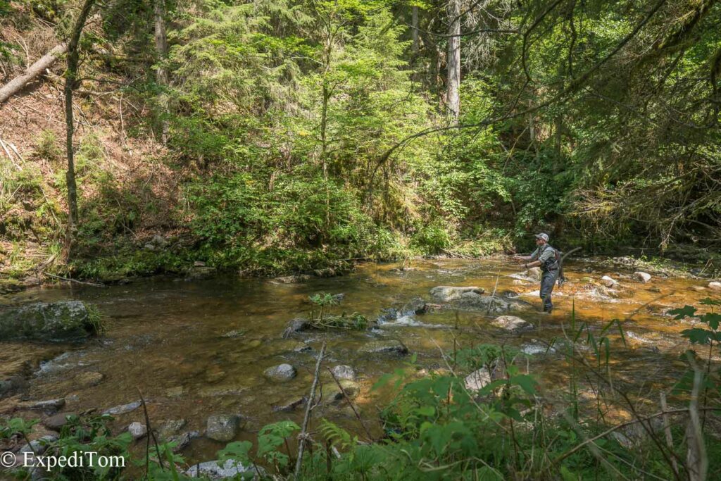 Nice bend of the Black Forest Creek in Germany