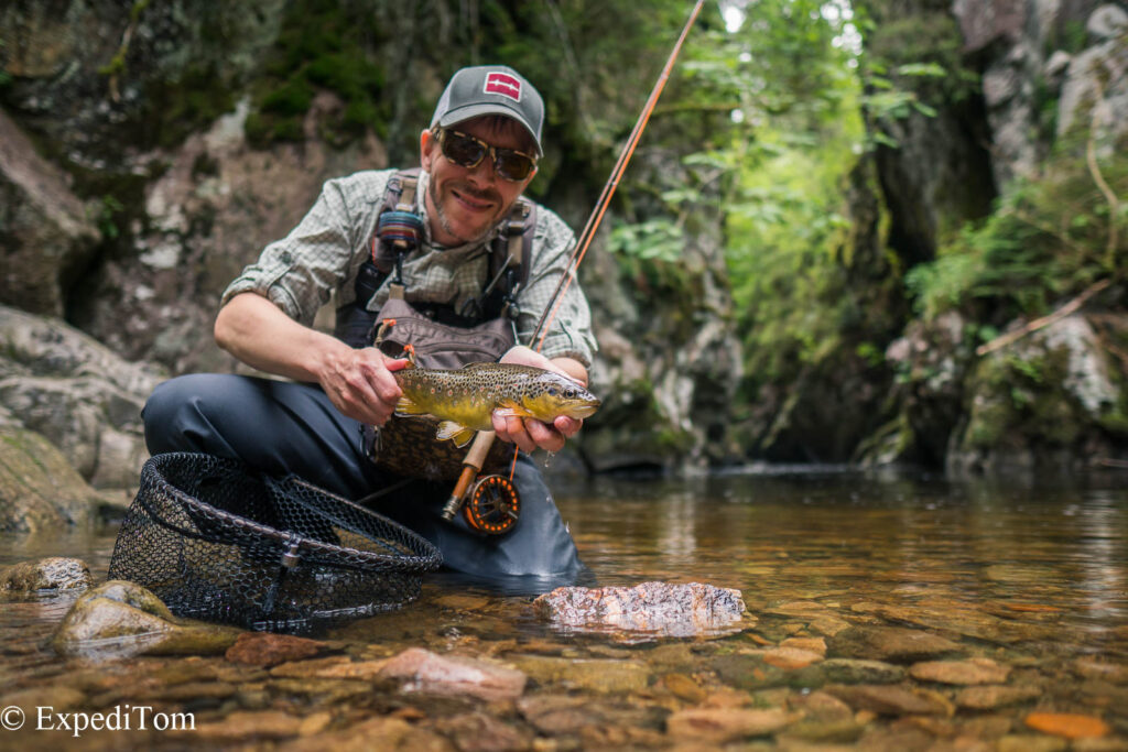 Wonderful fish from the Black Forest creek in Germany