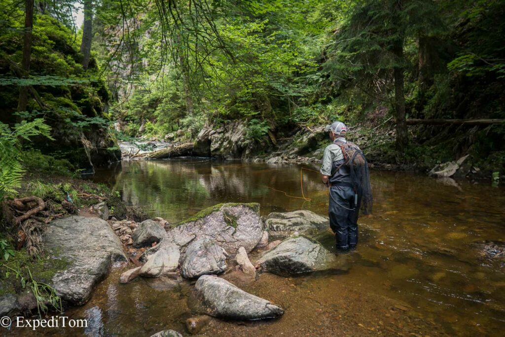 Wonderful pool in the Black Forest creek in Germany