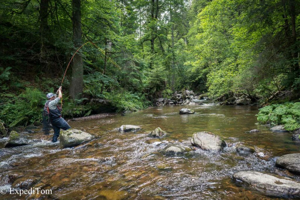 Hooked in the Black Forest creek in Germany