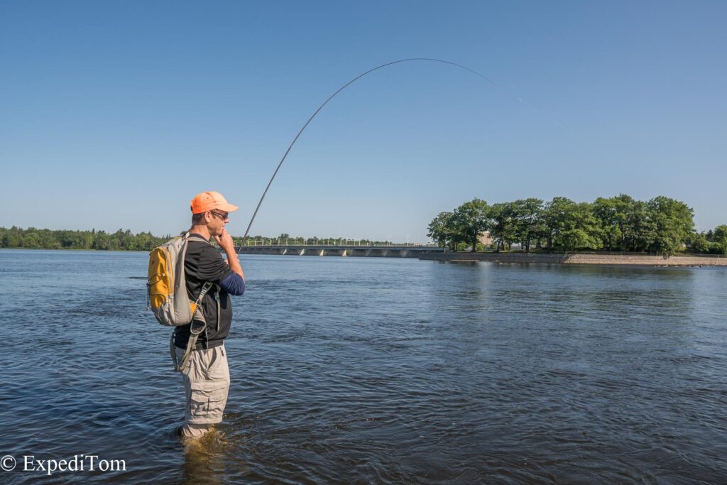 Bass Fly Fishing in Ottawa Canada