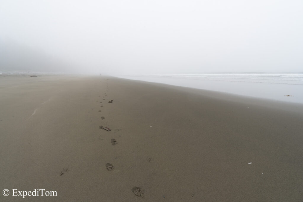 Mystic scenery on the West Coast Trail with dense fog and the distant sound of crashing waves.