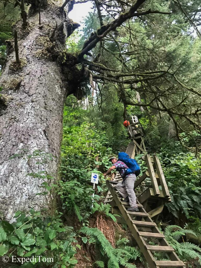 Ladders along the West Coast Trail after Trasher's Cover Southbound Ladders along the West Coast Trail after Trasher's Cover Southbound