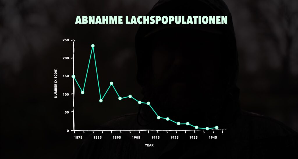 Decline in salmon population in the first half of the 20th century Decline in salmon population in the first half of the 20th century