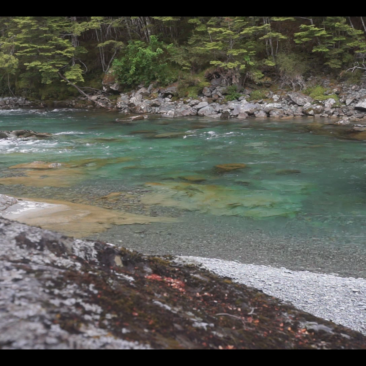 Crystal clear mountain river in New Zealand's backcountry.