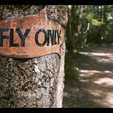 Screenshot of the price winning video by ExpediTom