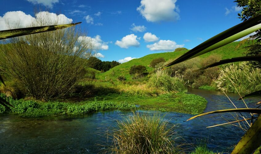 Secret fishing spots in New Zealand