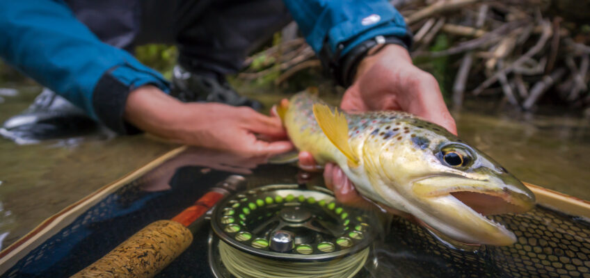 Robin Melliger's PB trout on the fly