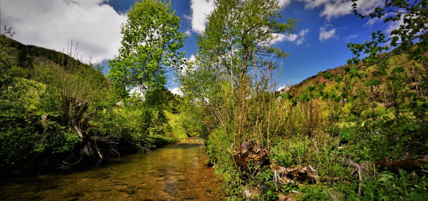 Welcome on the fly fishing flats of Switzerland