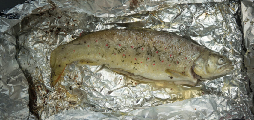 Trout in butter and some spices
