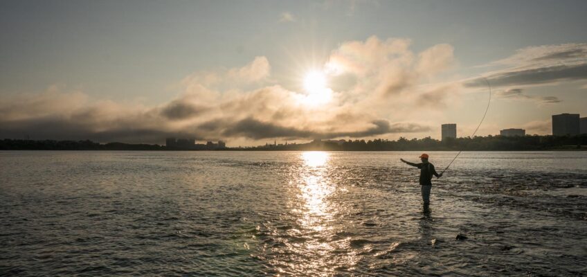 Bass Fly Fishing in Ottawa Canada (4)