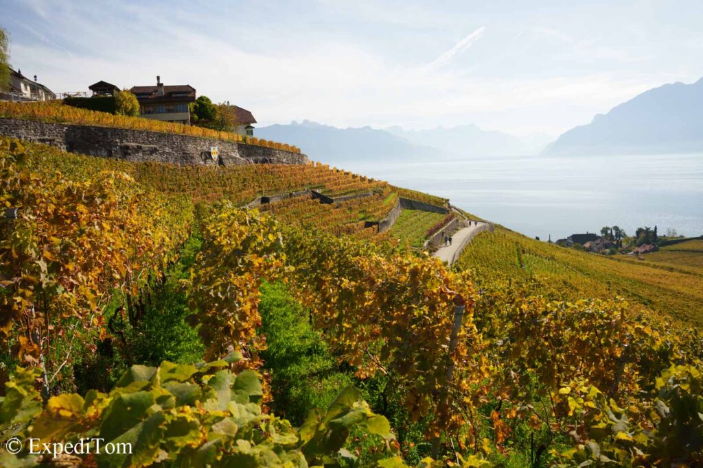 The vineyards in Lavaux that is a UNESCO World Heritage Site