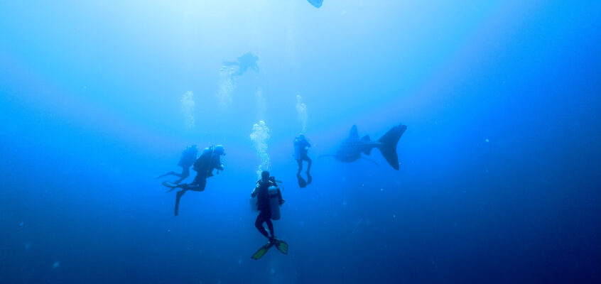 Liveaboard to Tubbataha Reef, Philippines